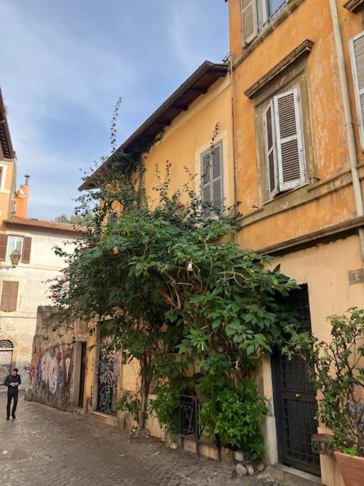 Apartment Amazing Terrace In Trastevere