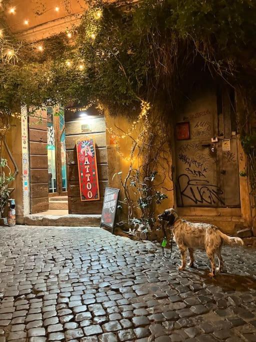 Amazing Terrace In Trastevere Apartment Rome