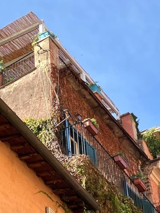 Amazing Terrace In Trastevere *