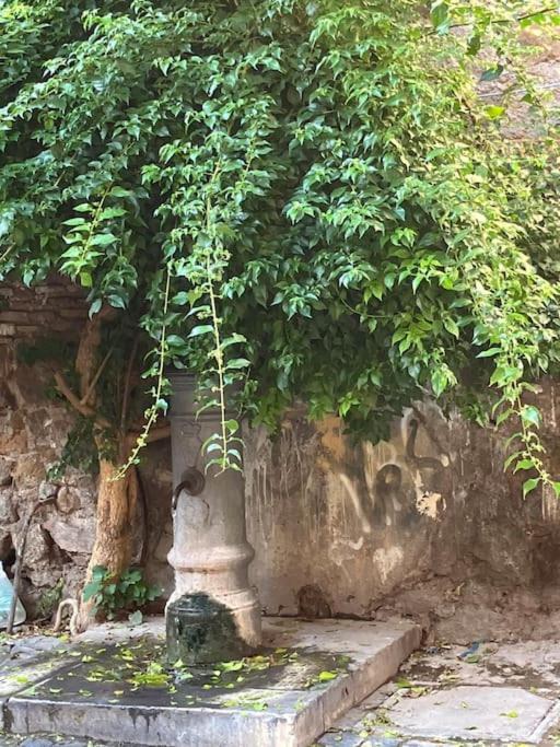 Appartement Amazing Terrace In Trastevere Rome