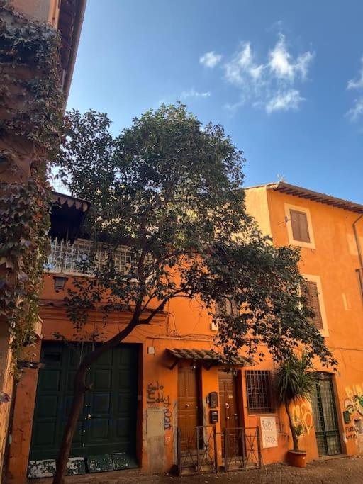 Amazing Terrace In Trastevere Roma