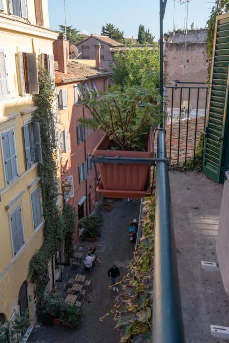 Amazing Terrace In Trastevere